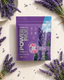 Lavender Laundry Detergent: This History Of Lavender and The Best Lavender Detergent of 2026
