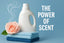 9 Best Nice Smelling Laundry Detergent Picks for 2026