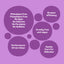 Graphic showing Laundry Labs’ Lavender PowerPax features like cruelty-free, dye-free, and vegan with illustrated bubbles.