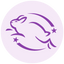 Leaping Bunny